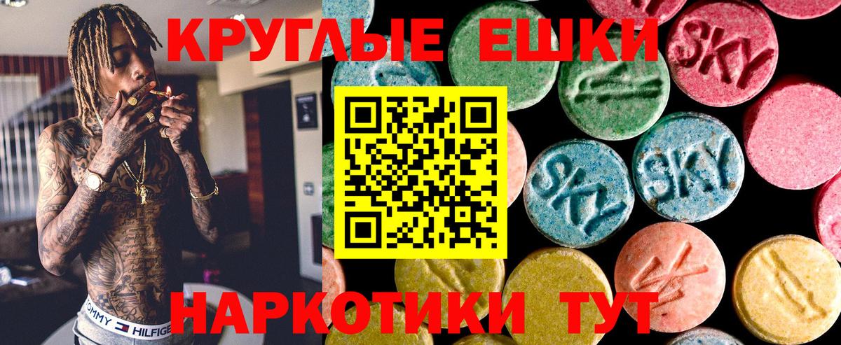 Ecstasy  Экстази Philipp Plein  Вход с VPN  Ecstasy Punisher  Курчалой 