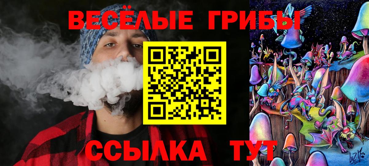 Галлюциногенные грибы Magic Shrooms Курчалой