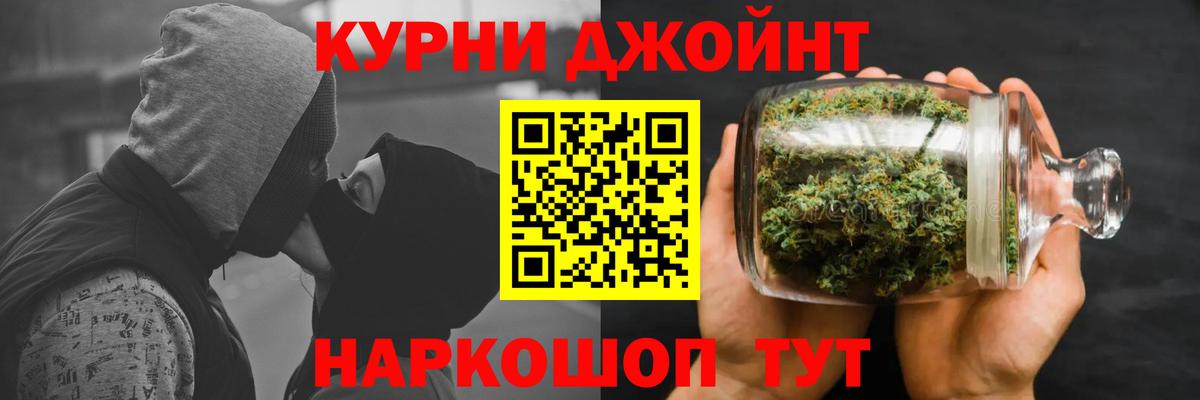 Конопля планчик Курчалой